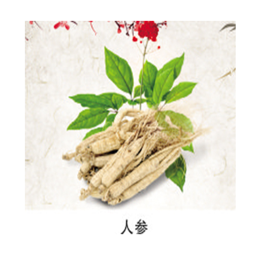 人参